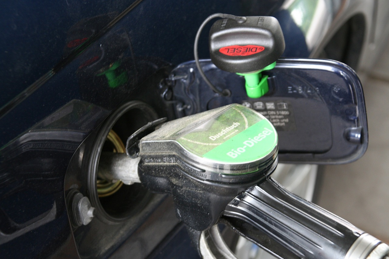 bio diesel