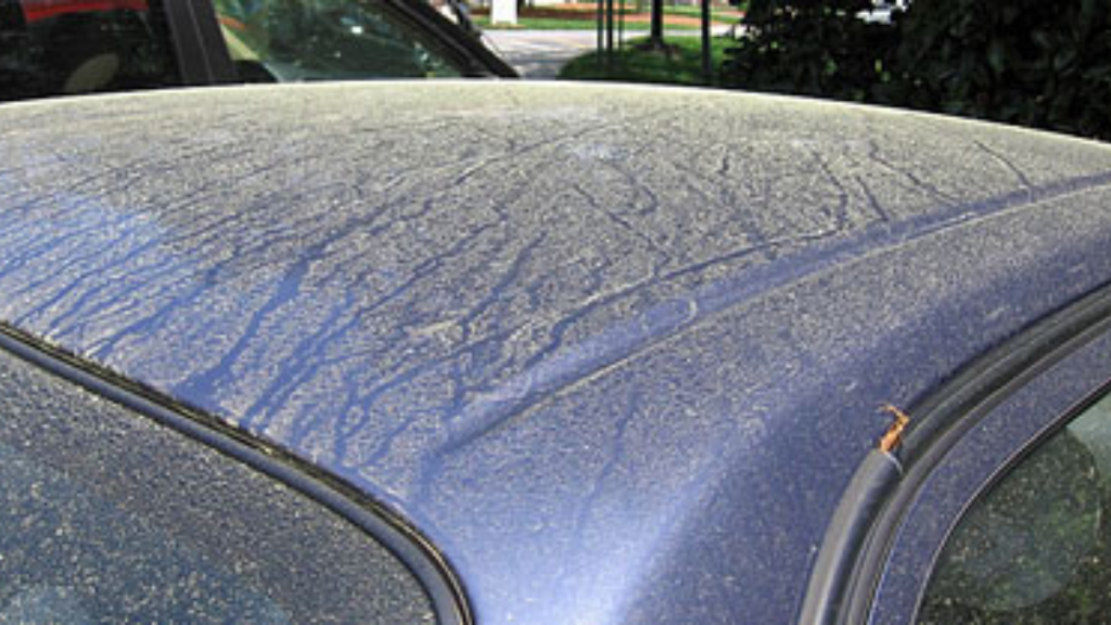 Carrosserie sans protection 