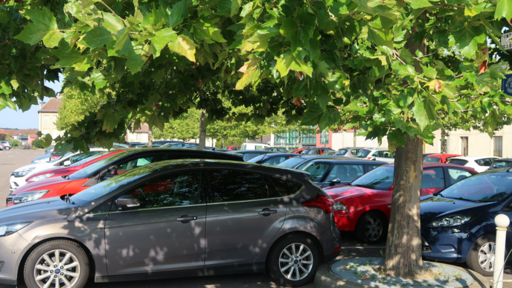 Comment protéger efficacement sa voiture de la chaleur estivale ? 3 voitures sous l'ombre d'un arbre